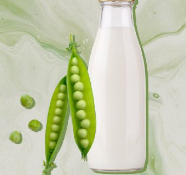 EATING WELL: Is Pea Milk Healthy?