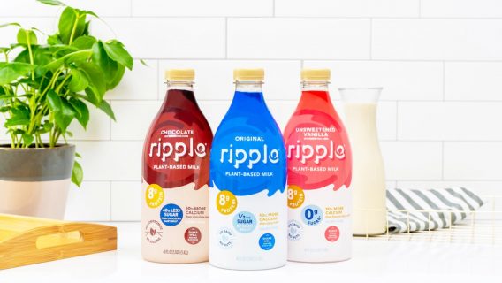 VEG NEWS: The Vegan Guide to High Protein Milk